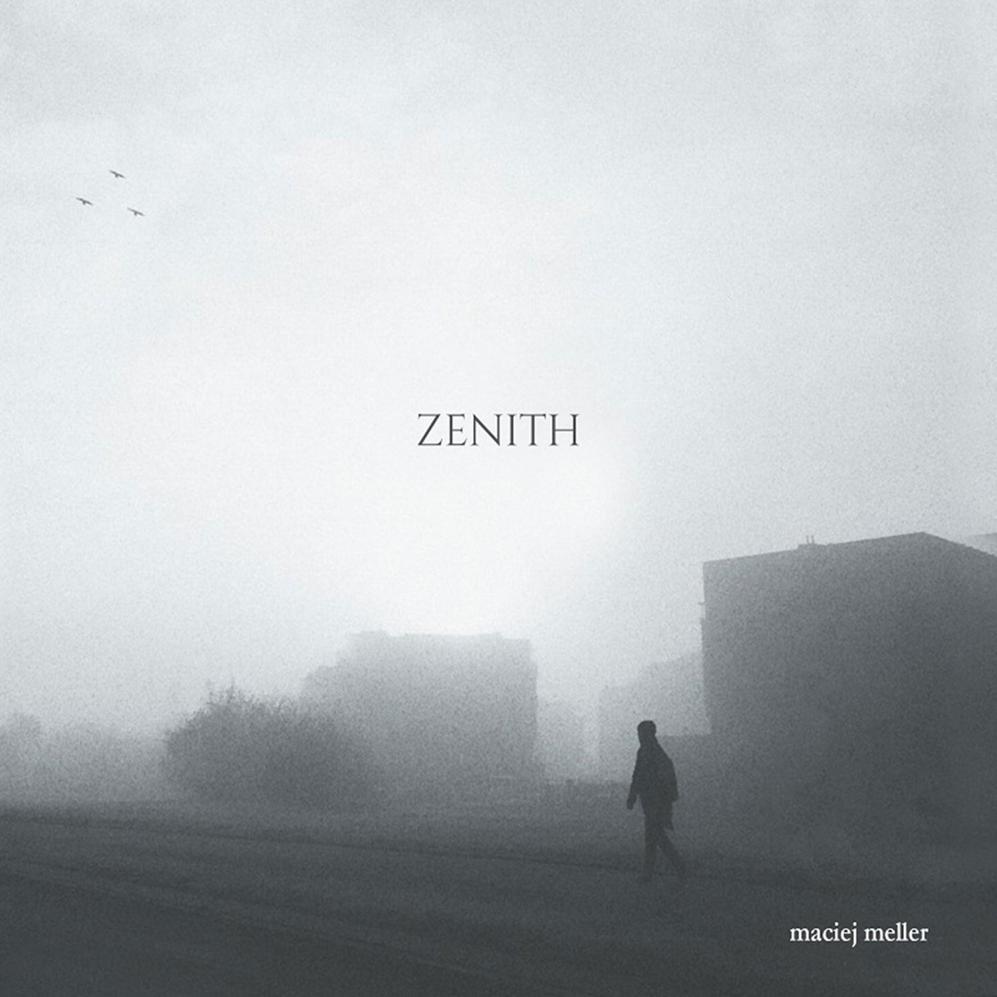 MACIEJ MELLER - Zenith (CD)